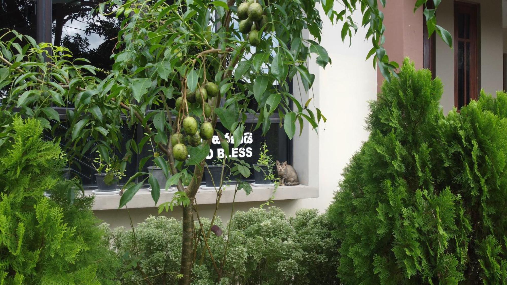 Wis Villa Galle Exterior foto